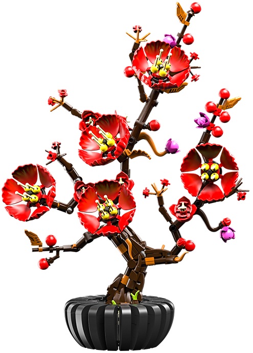 Plum Blossom