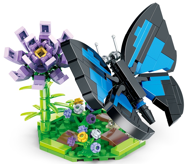 Butterfly